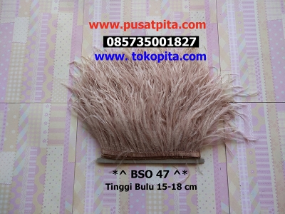 large2 BSO 47